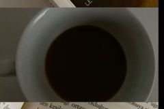 WhatsApp-Image-2026-01-23-at-06.42.36